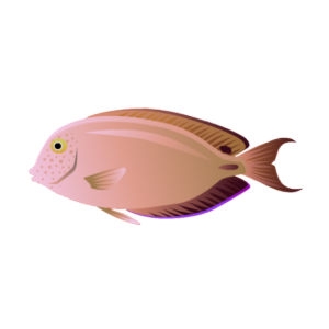 Orange Tang
